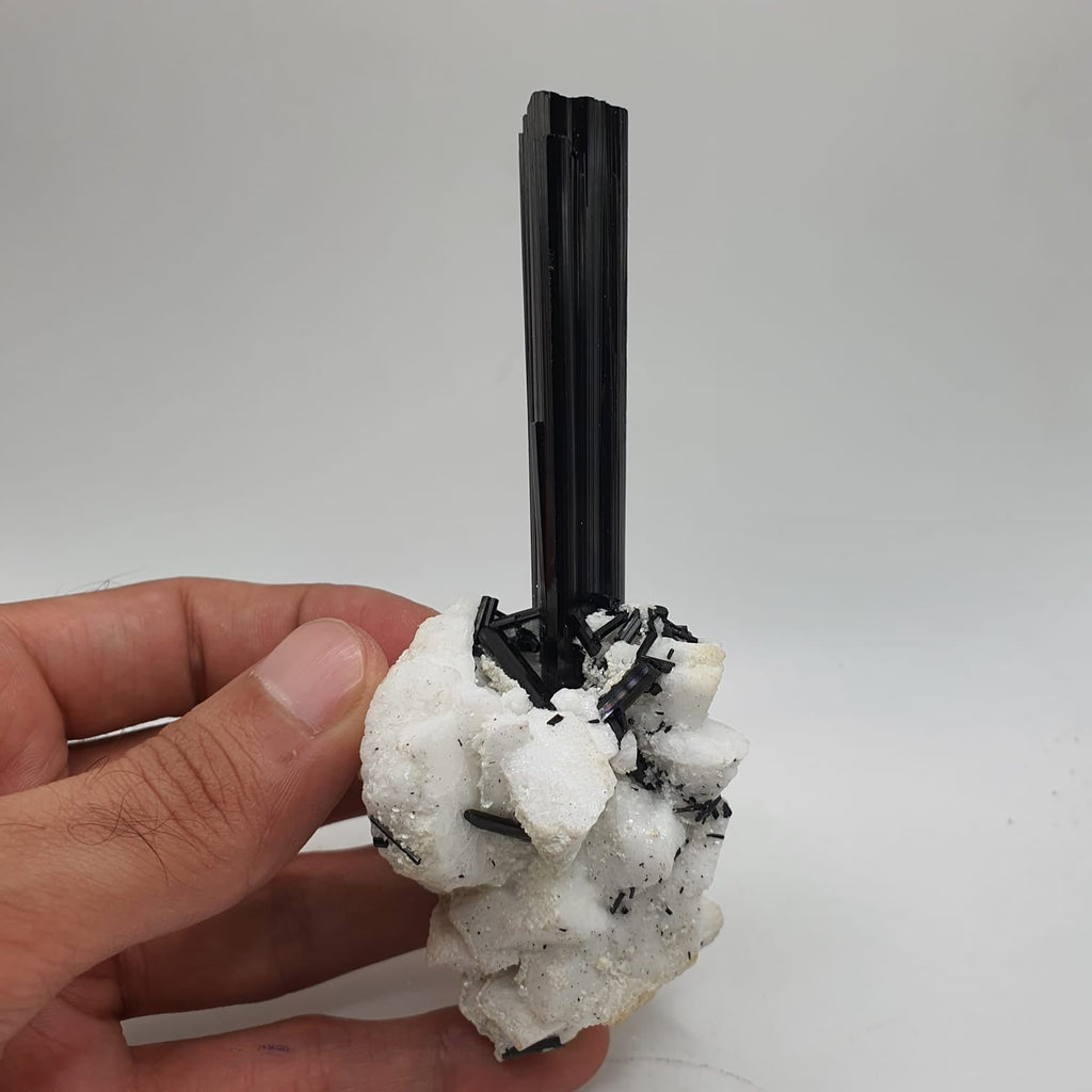 Lusterious And Highly Striated Schorl Crystal On White Albite