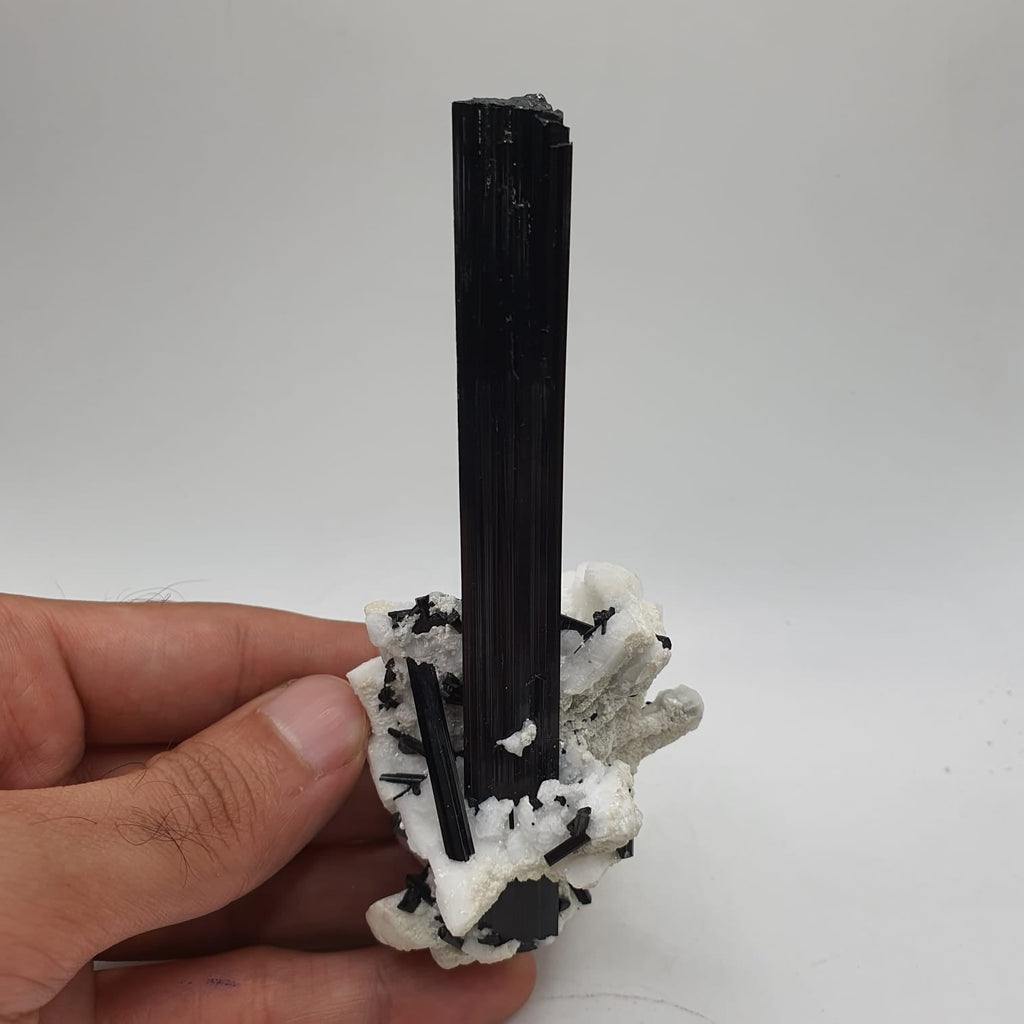 Lusterious And Highly Striated Schorl Crystal On White Albite