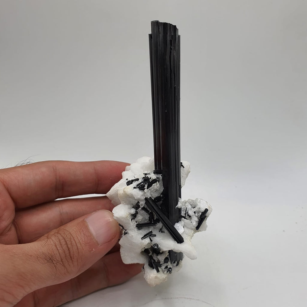Lusterious And Highly Striated Schorl Crystal On White Albite
