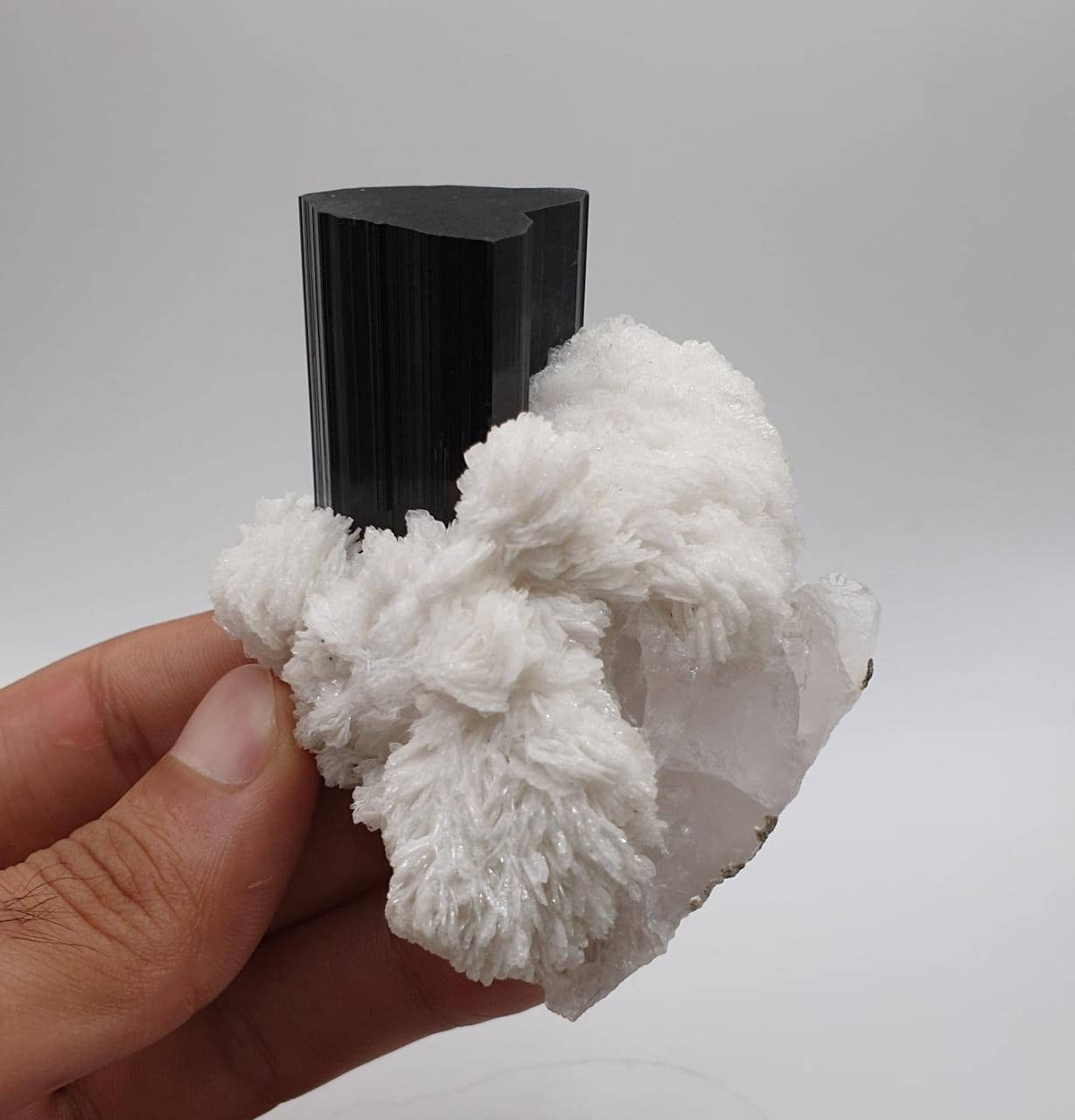 Lusterious Schorl aka Black Tourmaline on Cleavelandite with Quartz