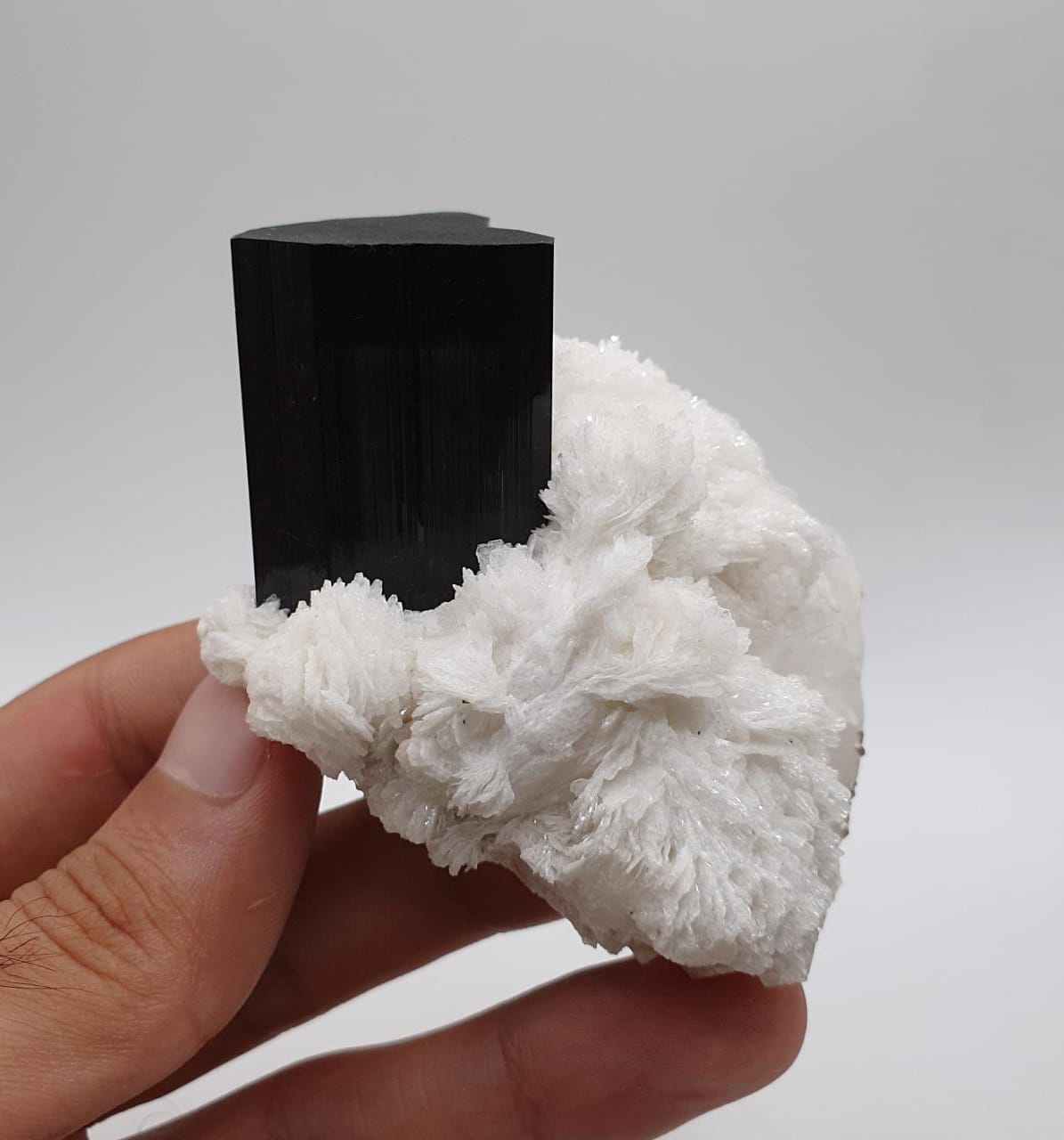 Lusterious Schorl aka Black Tourmaline on Cleavelandite with Quartz