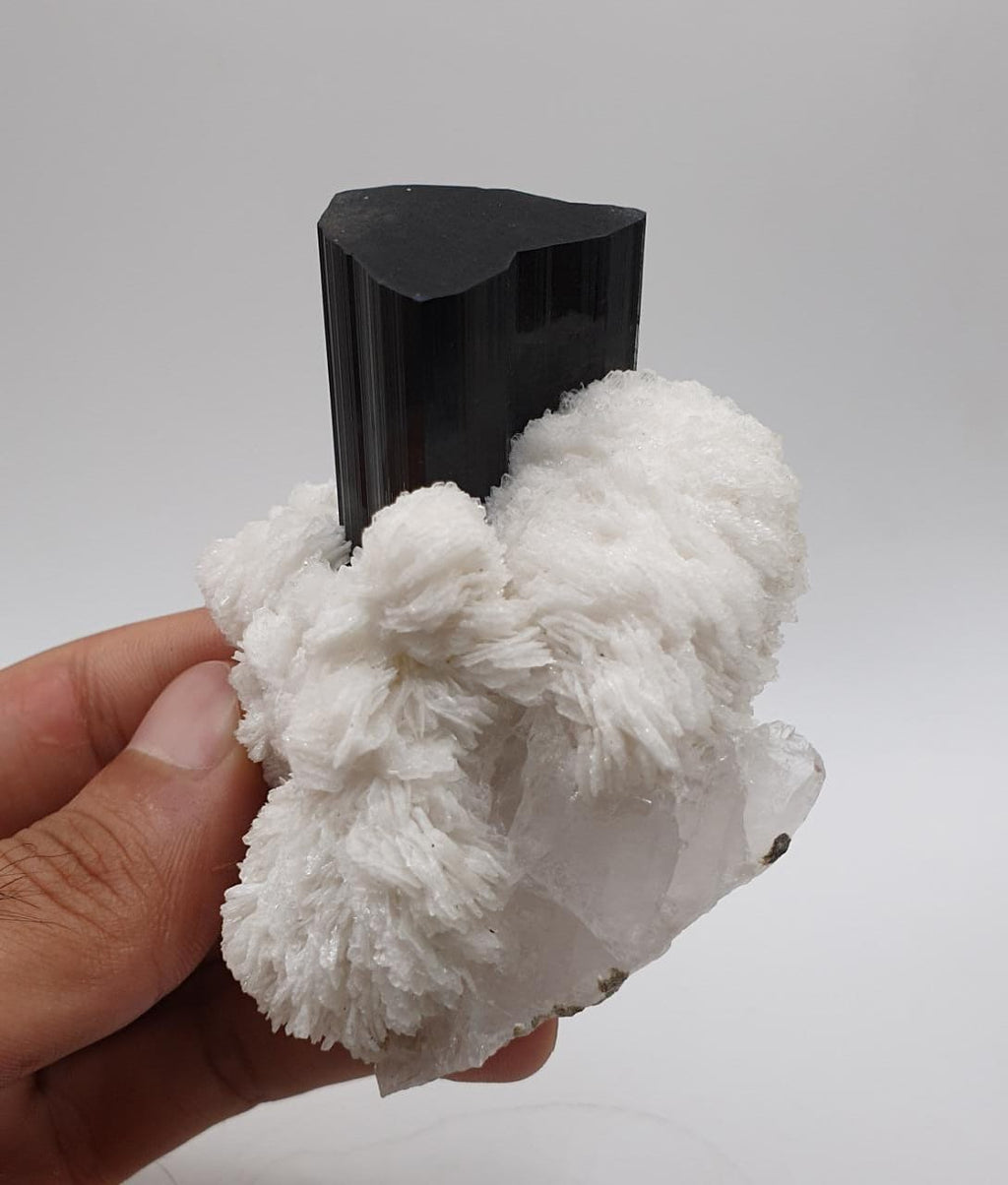 Lusterious Schorl aka Black Tourmaline on Cleavelandite with Quartz