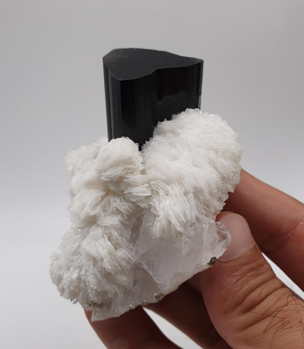 Lusterious Schorl aka Black Tourmaline on Cleavelandite with Quartz