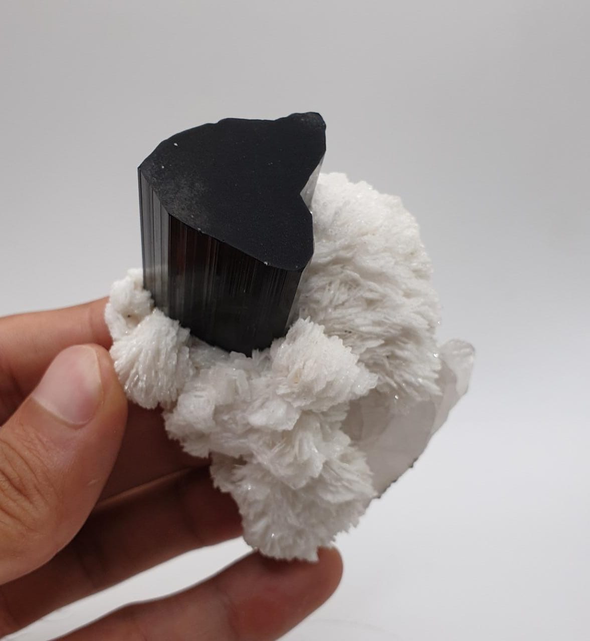 Lusterious Schorl aka Black Tourmaline on Cleavelandite with Quartz