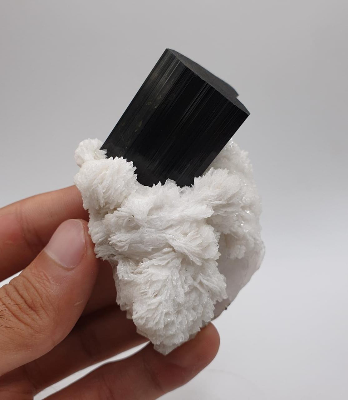 Lusterious Schorl aka Black Tourmaline on Cleavelandite with Quartz