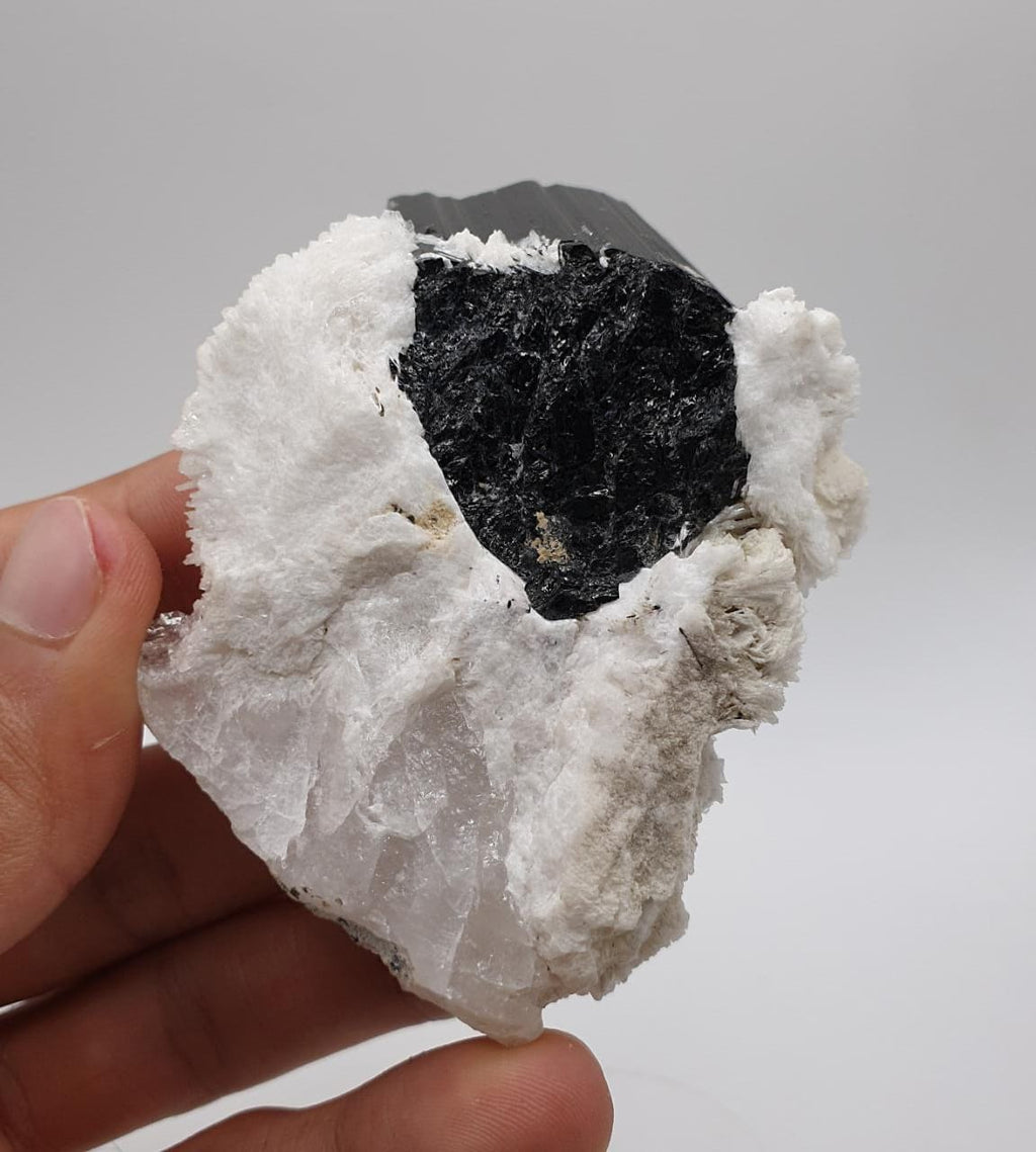 Lusterious Schorl aka Black Tourmaline on Cleavelandite with Quartz