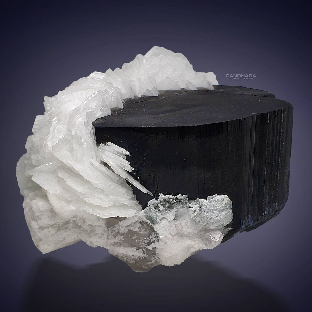 1832 Grams Lustrous Black Tourmaline with Cleavelandite Flower
