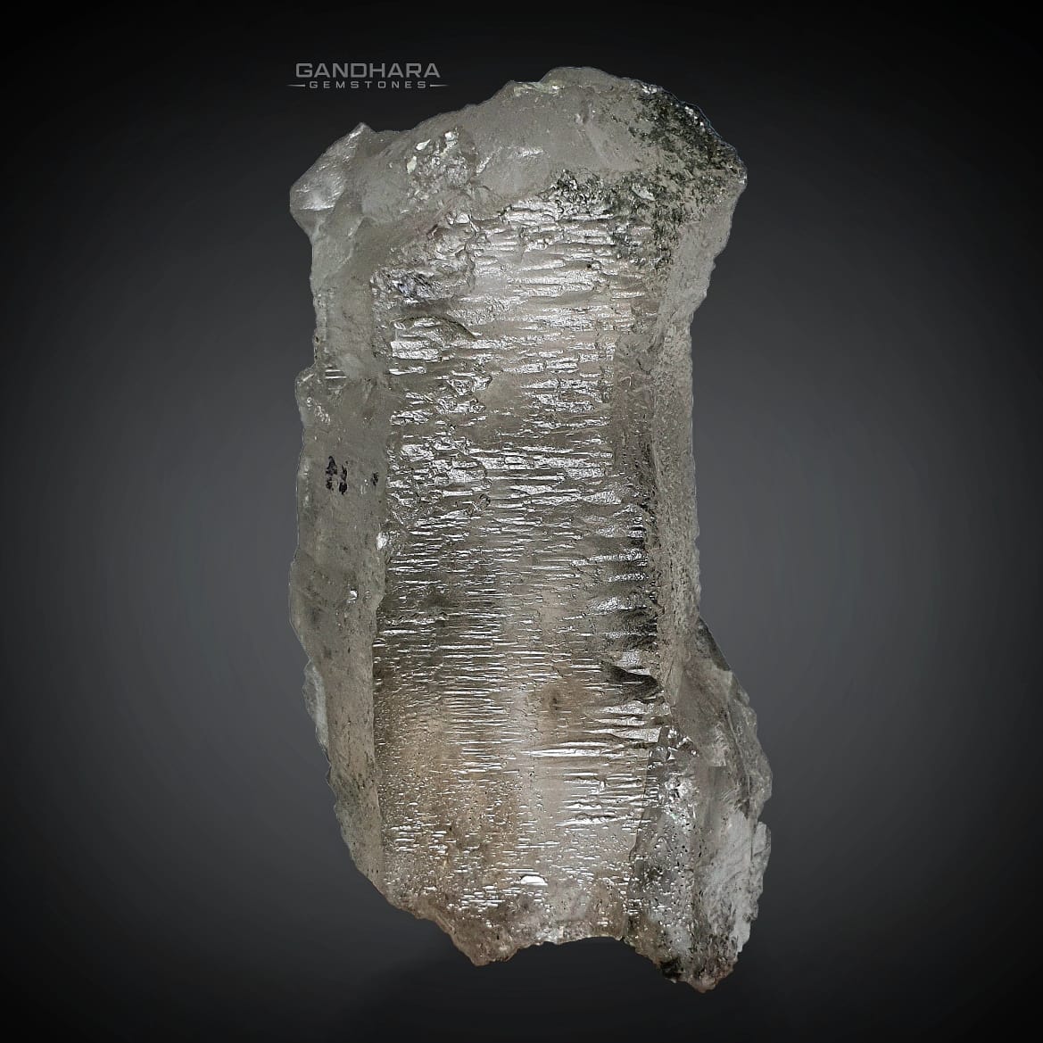 343 Grams Lustrous Smokey Quartz Specimen