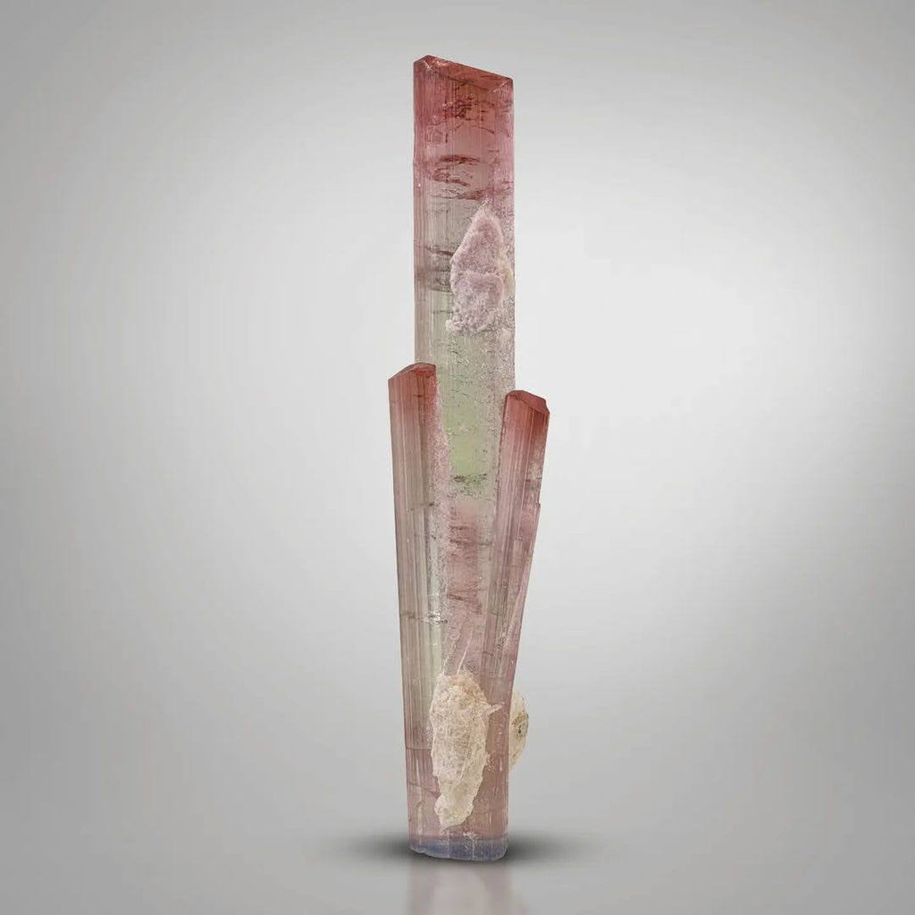 Double Terminated Tourmaline with Albite and Microlite from Afghanistan