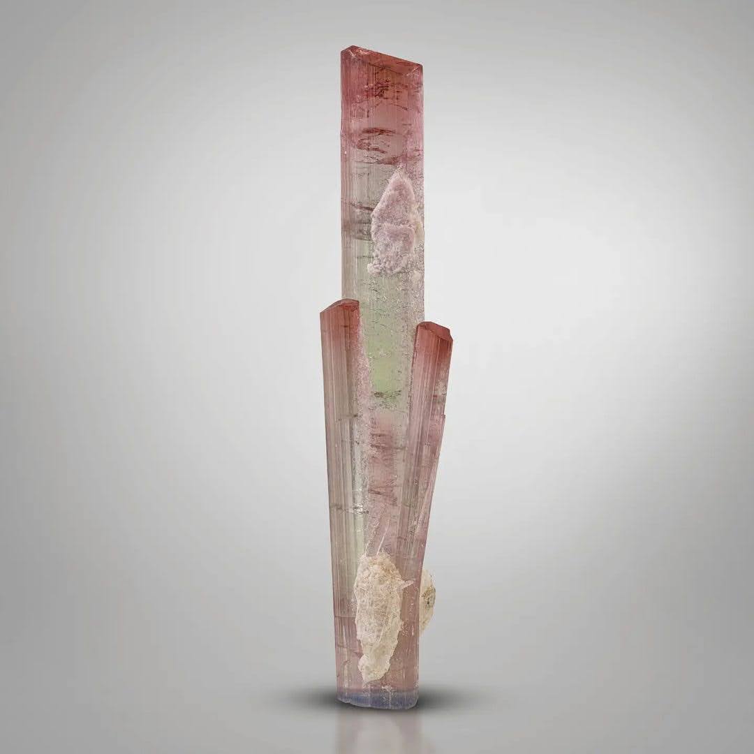 Double Terminated Tourmaline with Albite and Microlite from Afghanistan