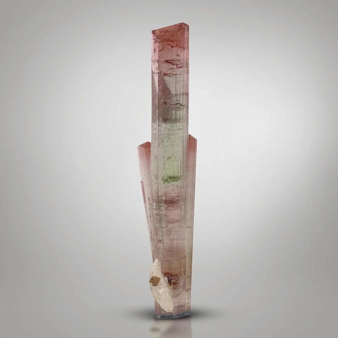 Double Terminated Tourmaline with Albite and Microlite from Afghanistan