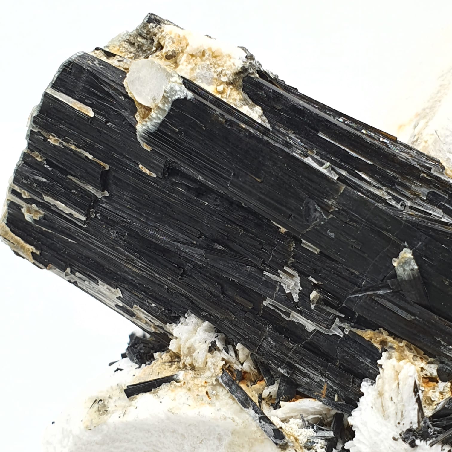 Microcline Feldspar With Schorl On Cleavelandite