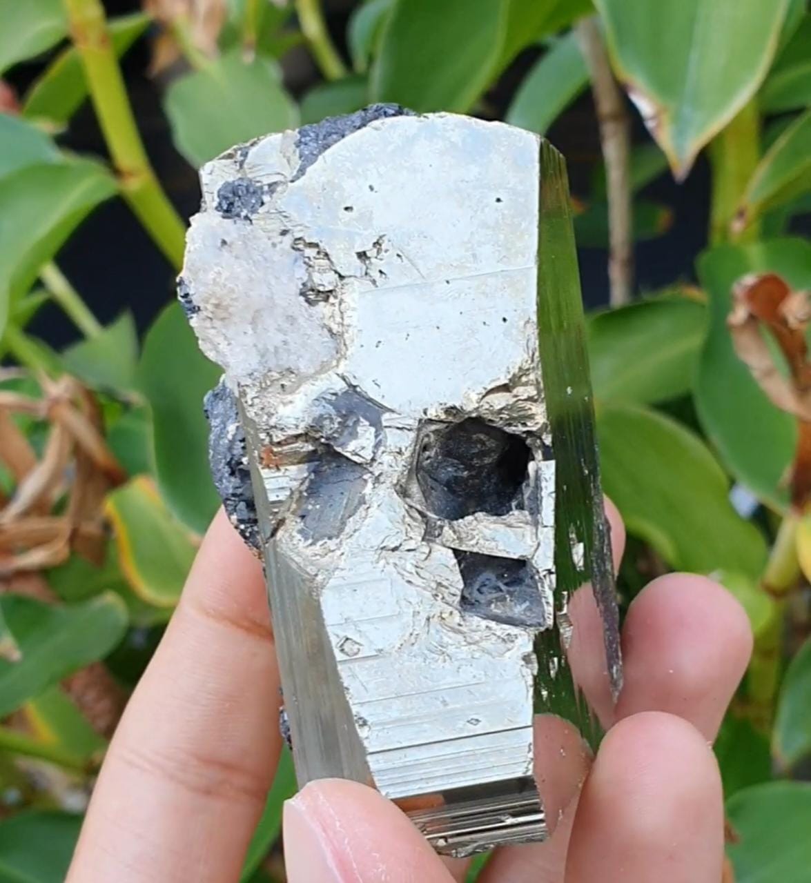 Mixed Cubic Pyritohedral Habit Pyrite with Sphalerite