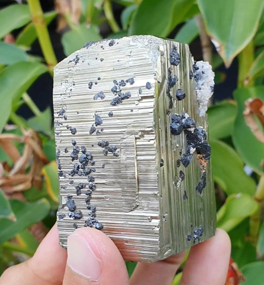 Mixed Cubic Pyritohedral Habit Pyrite with Sphalerite
