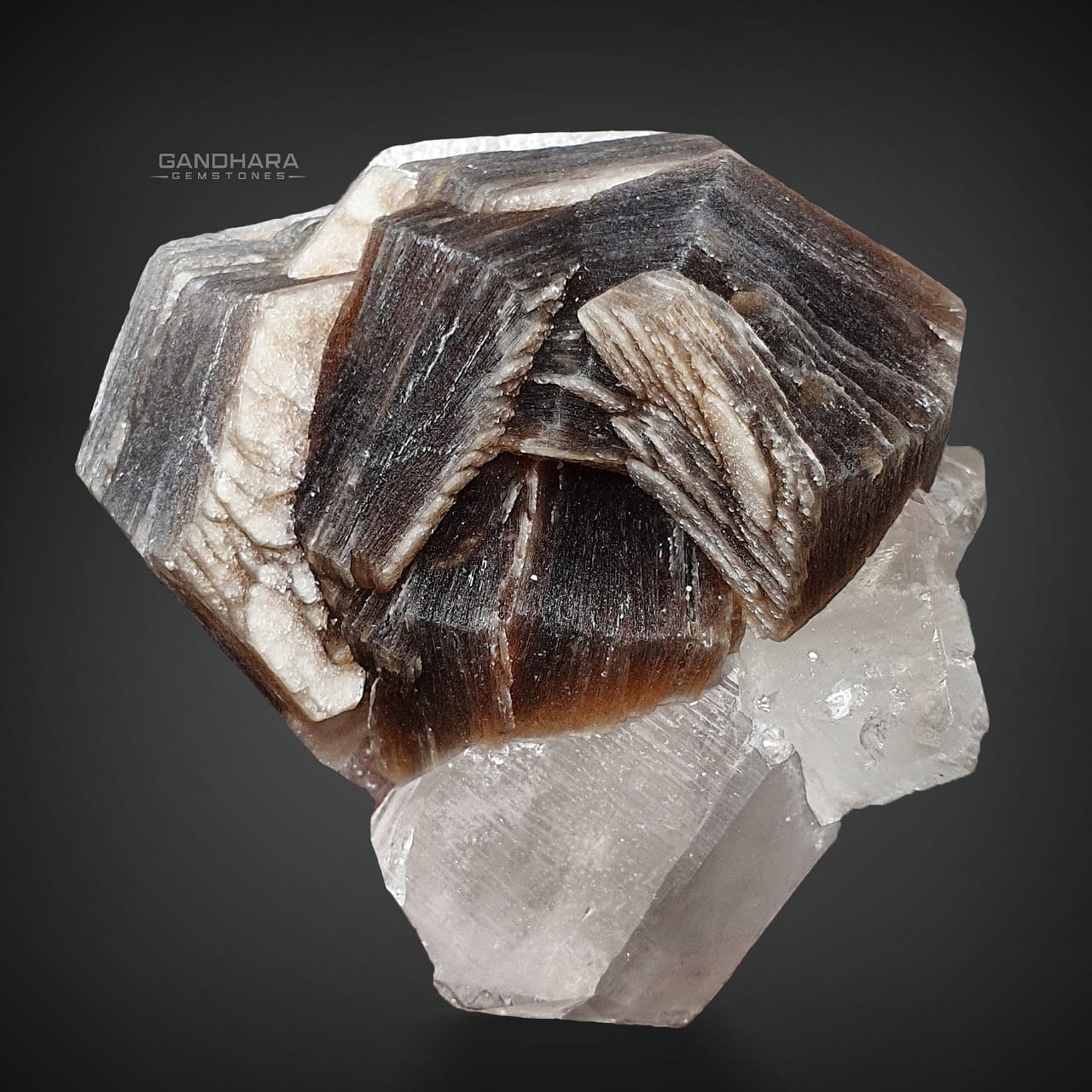 225 Grams Muscovite Specimen on Quartz with Topaz