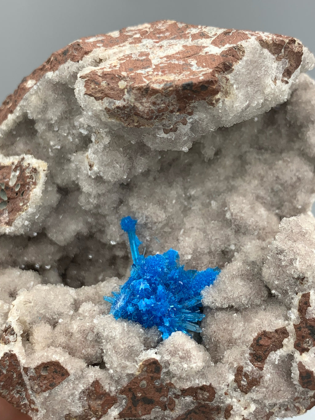 Neon Blue Pantagonite Crystal Cluster On Geode Quartz Matrix