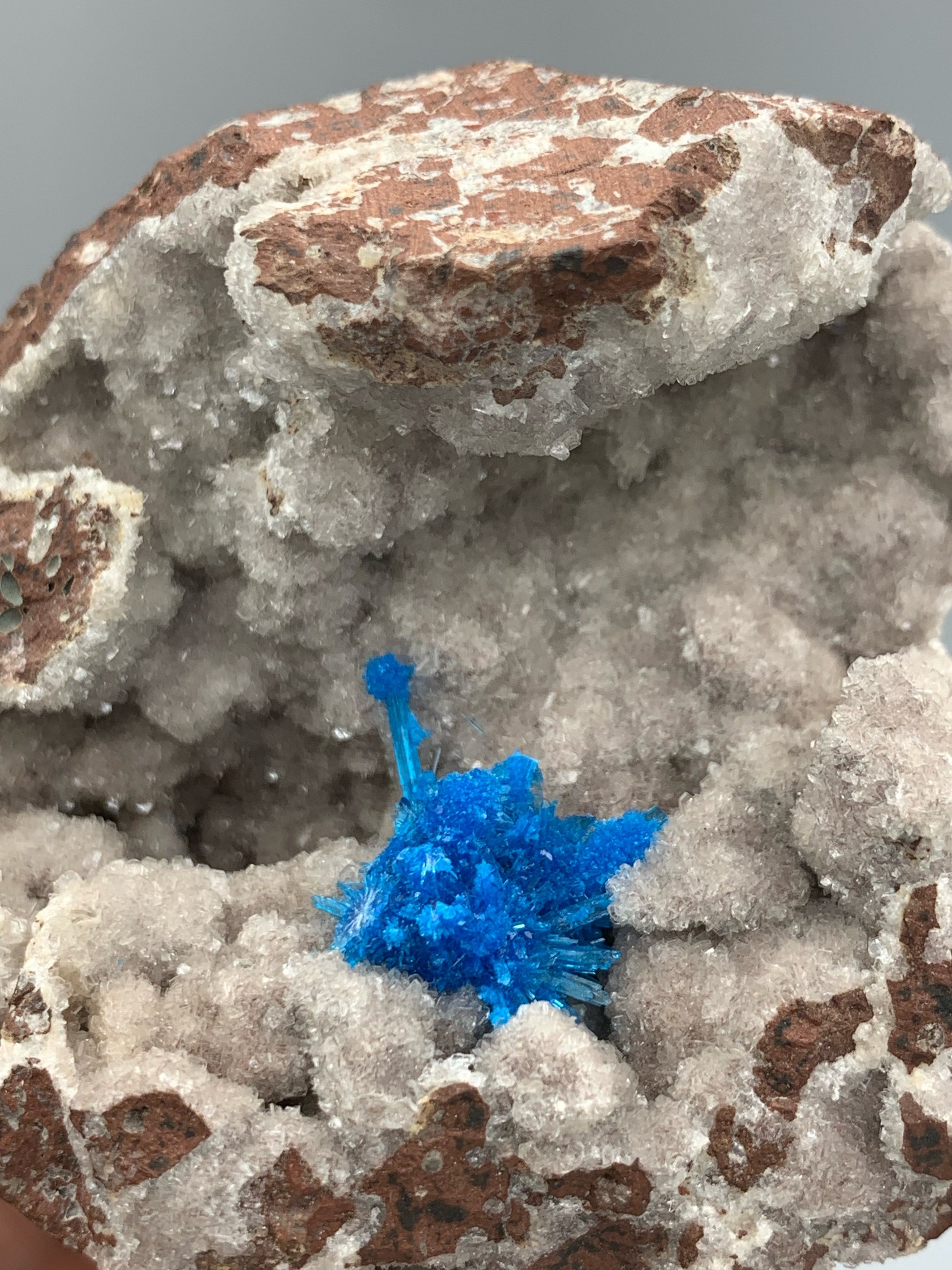 Neon Blue Pantagonite Crystal Cluster On Geode Quartz Matrix
