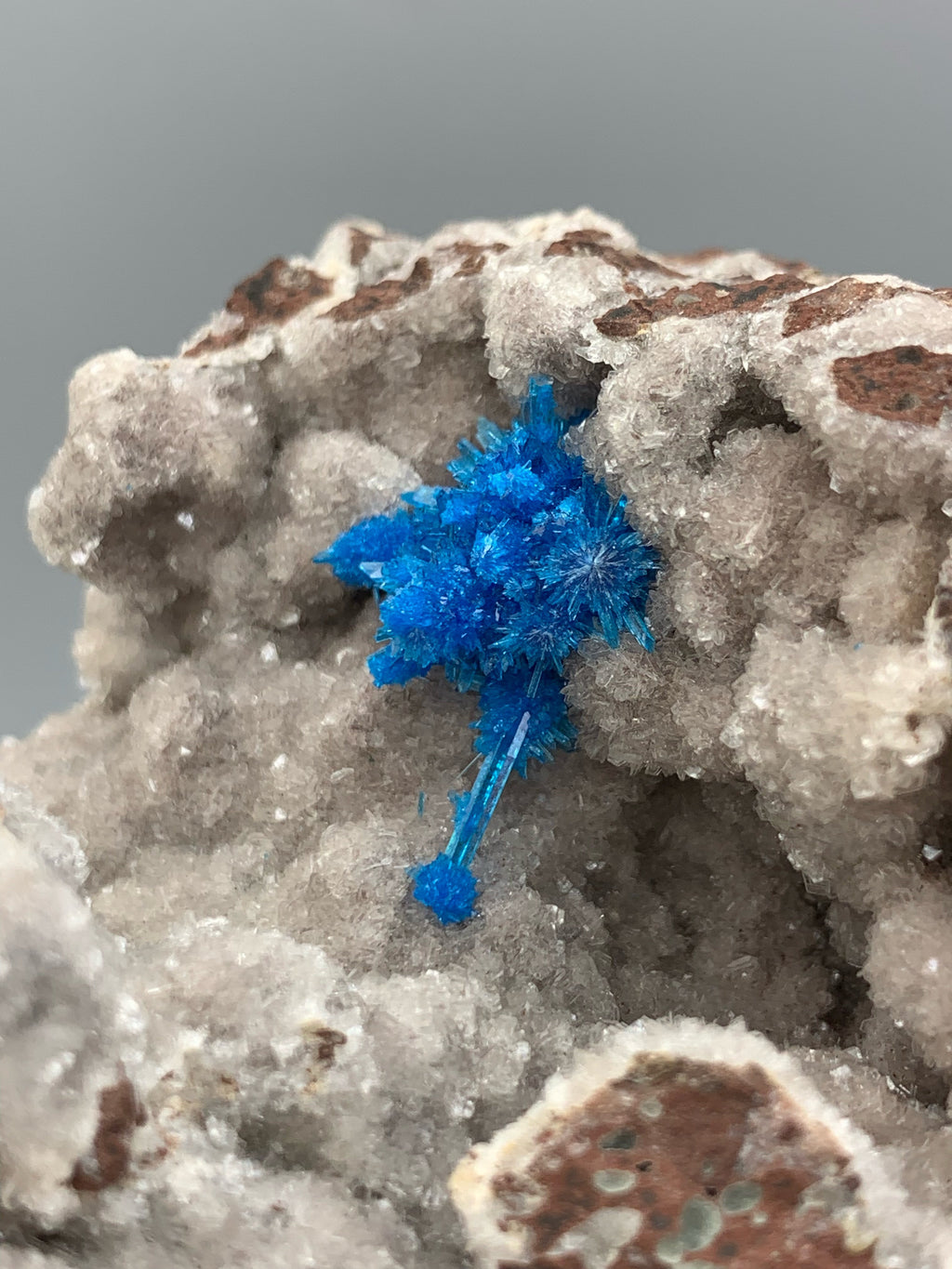 Neon Blue Pantagonite Crystal Cluster On Geode Quartz Matrix
