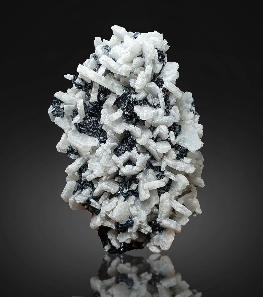 Hematite Crystals with Albite with gray background at Gandhara Fine Minerals