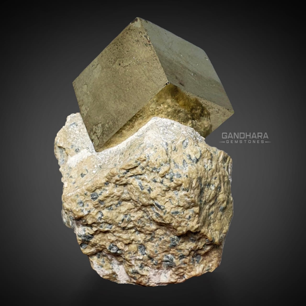 Buy 121 Grams Perfect Cubic Pyrite Crystal Perched on Matrix