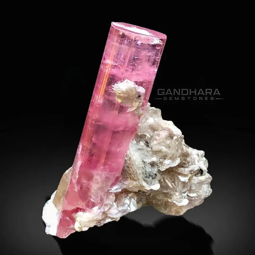45 Grams Pink Tourmaline Crystal Perched on Muscovite with Albite
