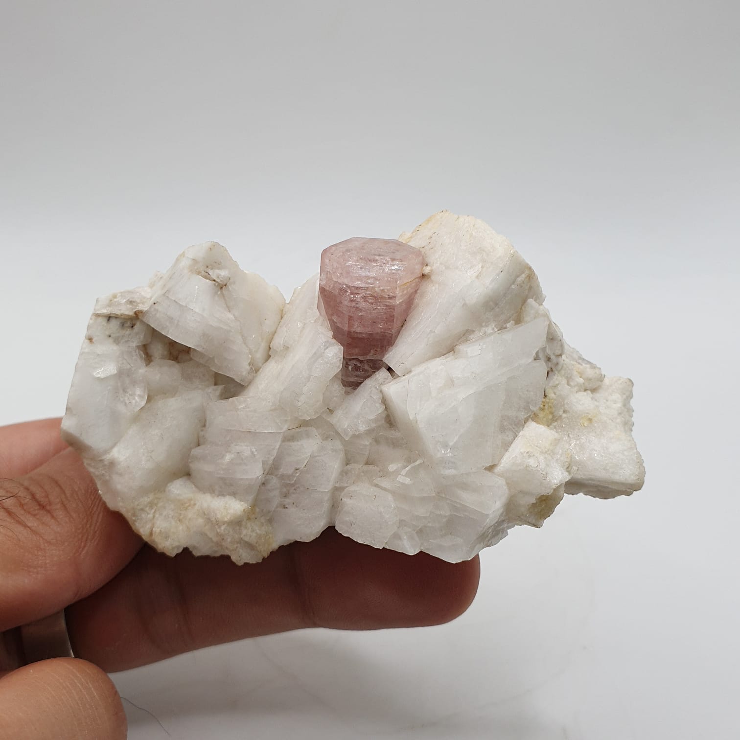 Pink Apatite Nicely Positioned on Creamy White Albite