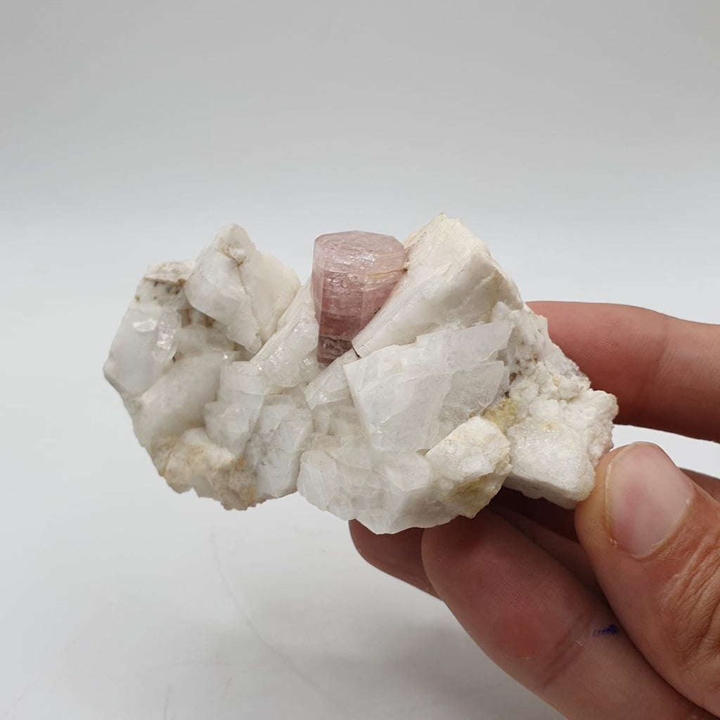 Pink Apatite Nicely Positioned on Creamy White Albite