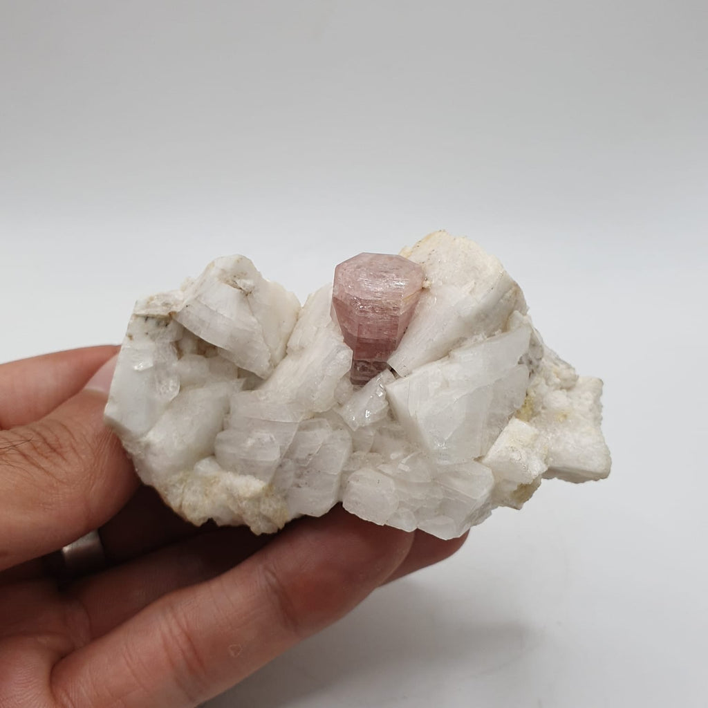 Pink Apatite Nicely Positioned on Creamy White Albite