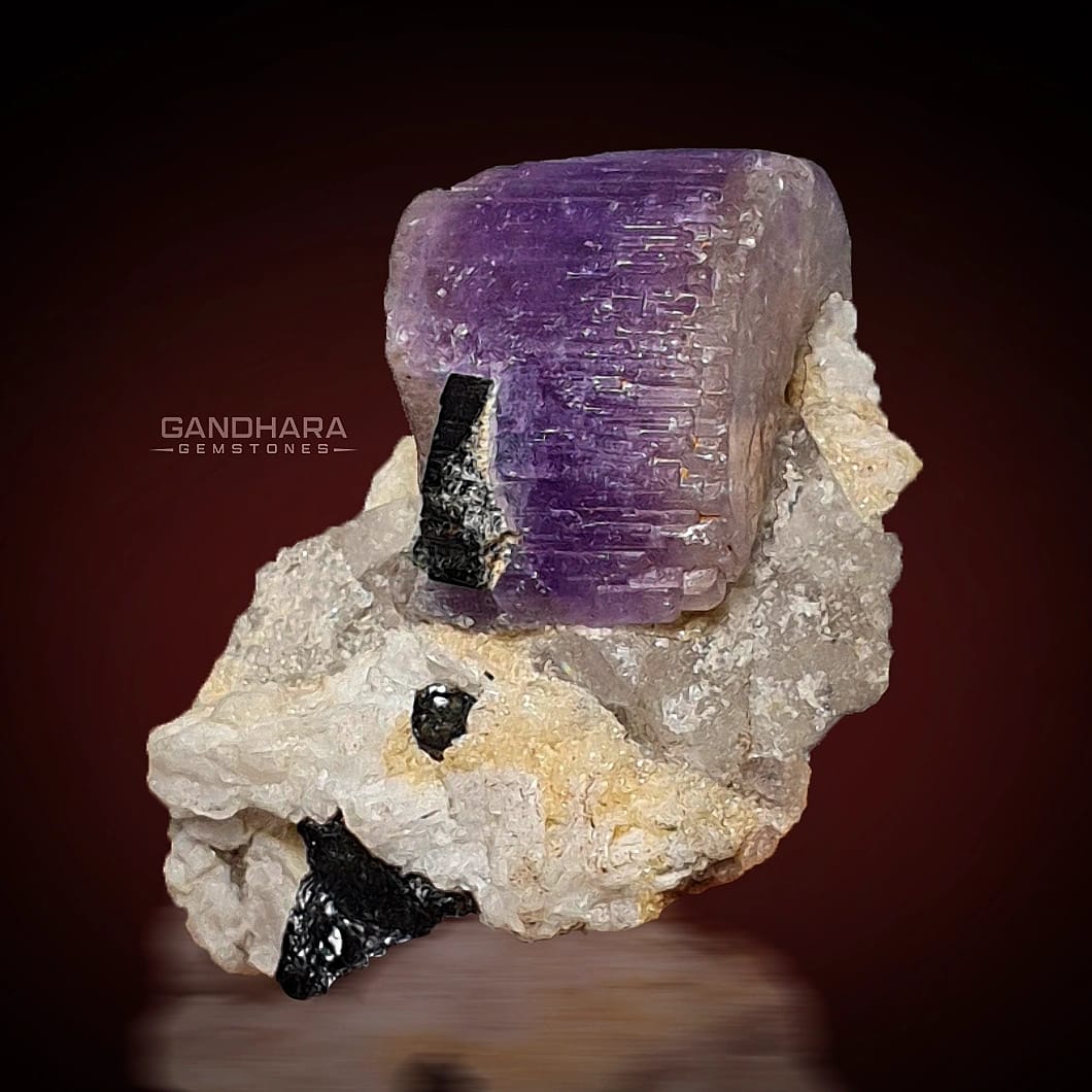 20 Grams Purple Fluorapatite Specimen on Matrix with Schorl