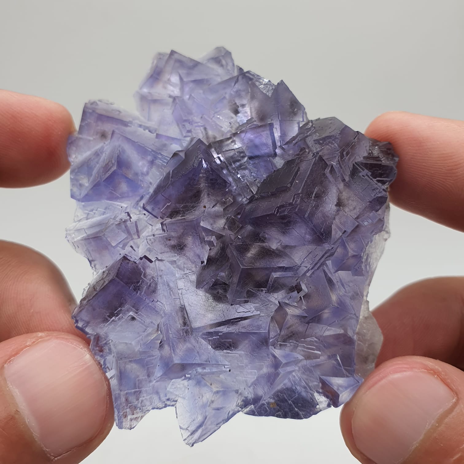 Purple Glassy Fluorite With Blue Color Zoning