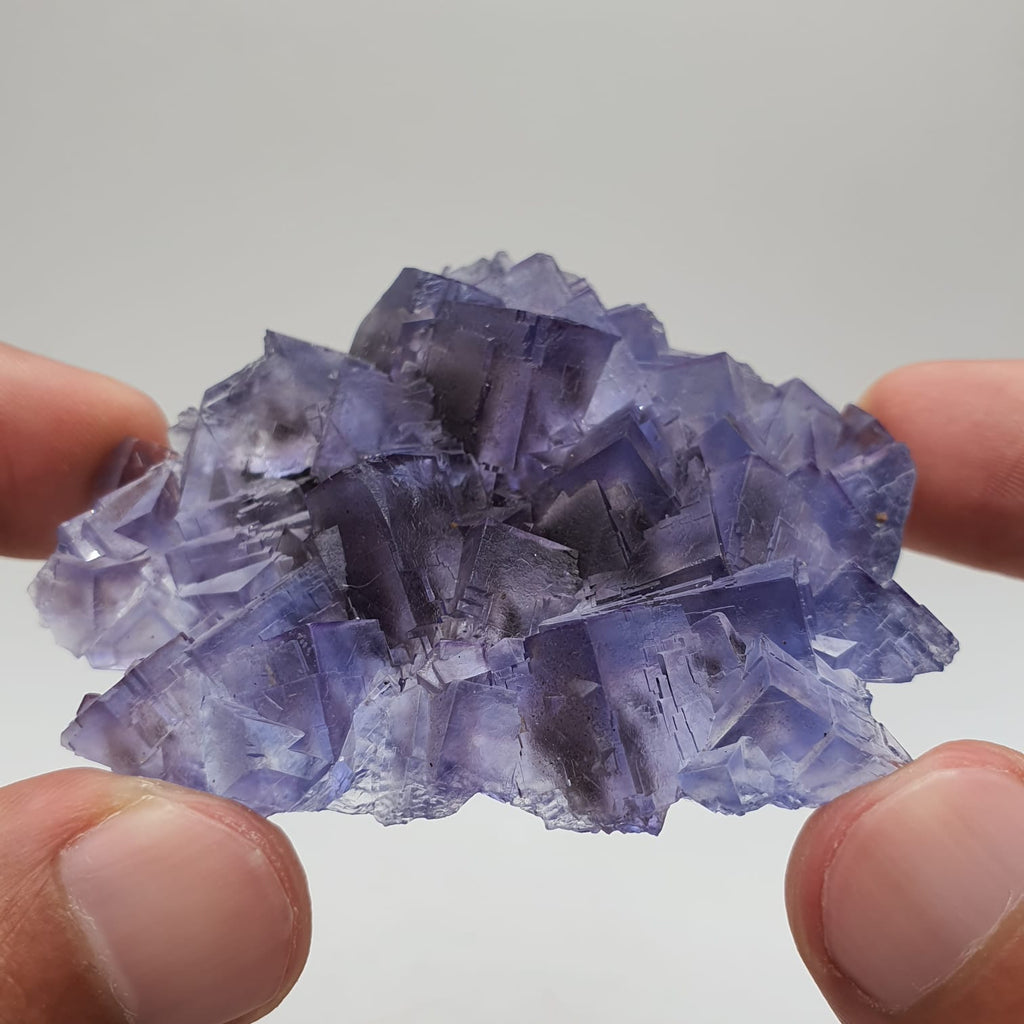 Purple Glassy Fluorite With Blue Color Zoning
