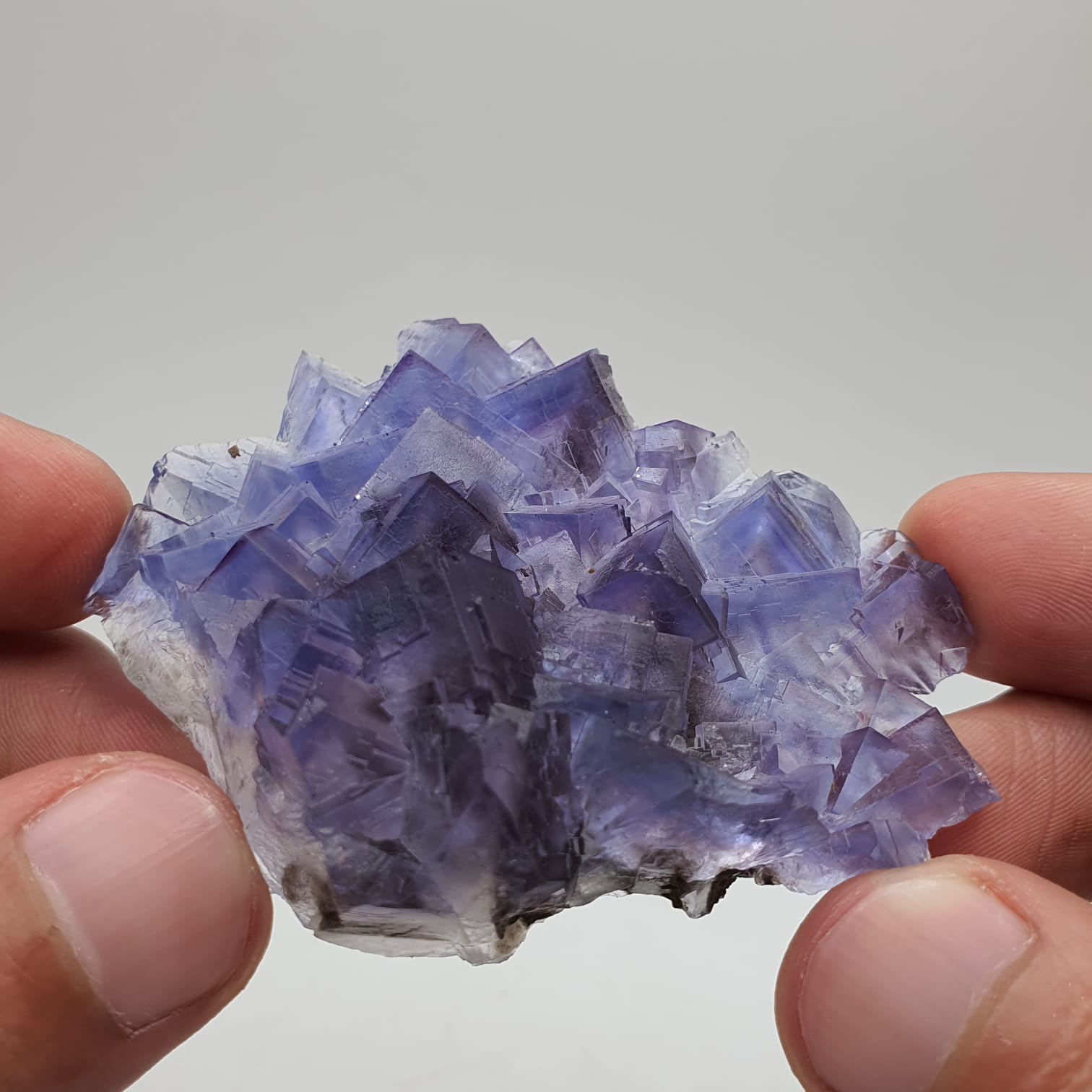 Purple Glassy Fluorite With Blue Color Zoning