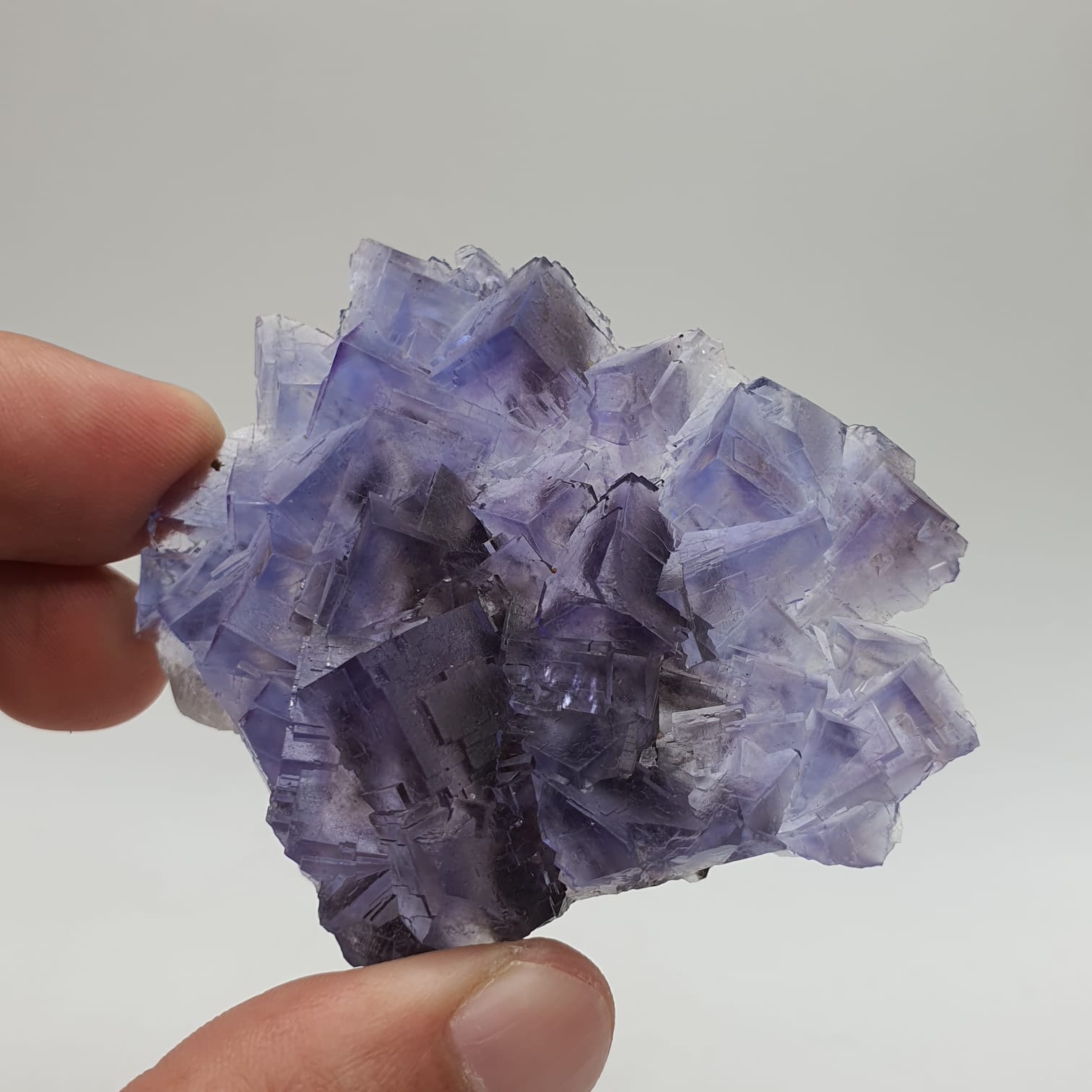 Purple Glassy Fluorite With Blue Color Zoning