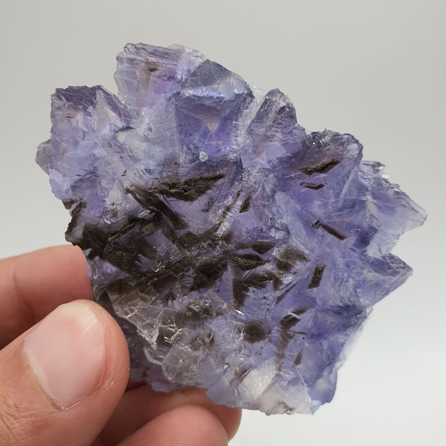 Purple Glassy Fluorite With Blue Color Zoning