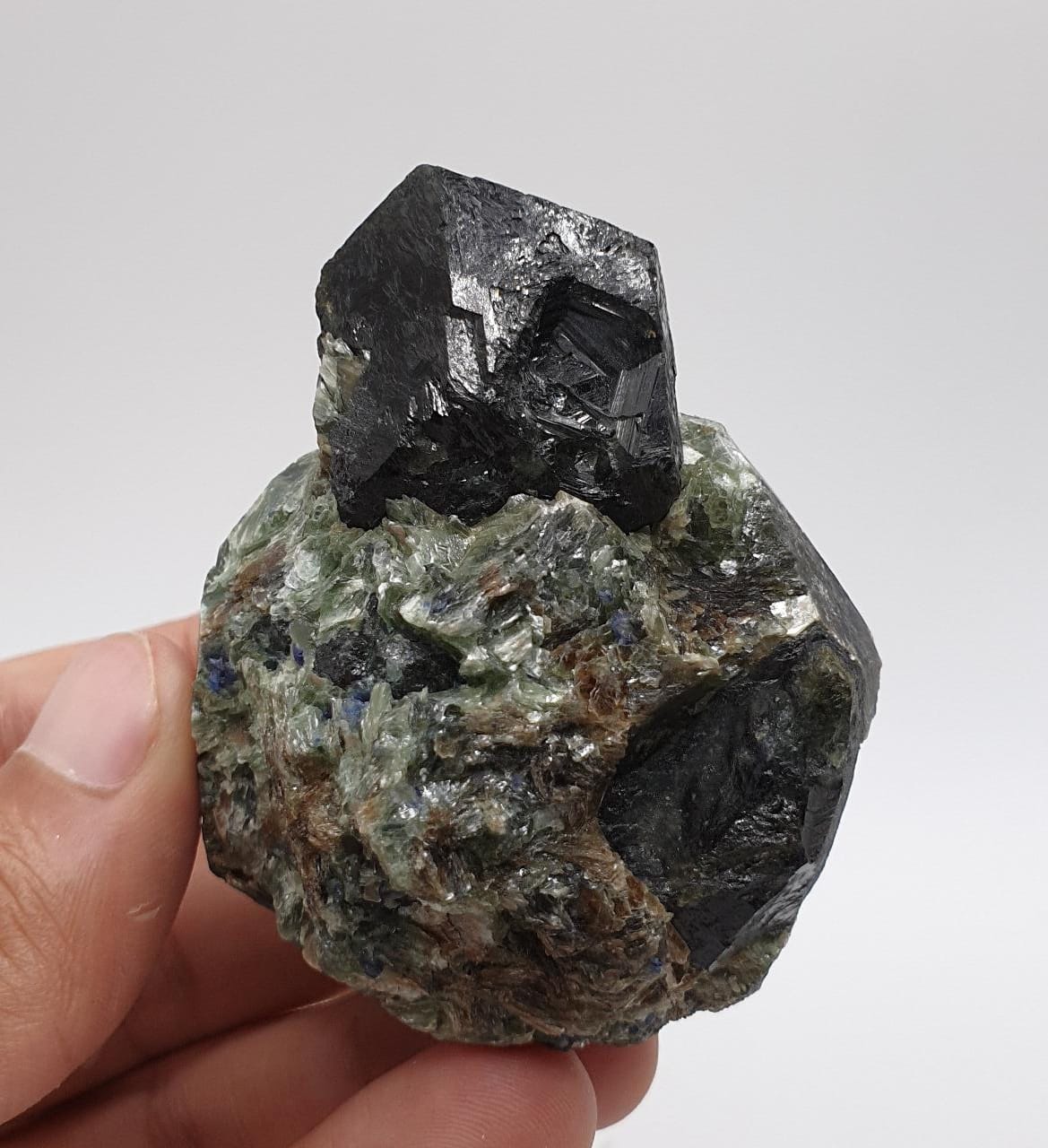 Rare Dravite Tourmaline On Matrix With Detailed Sapphire Crystals
