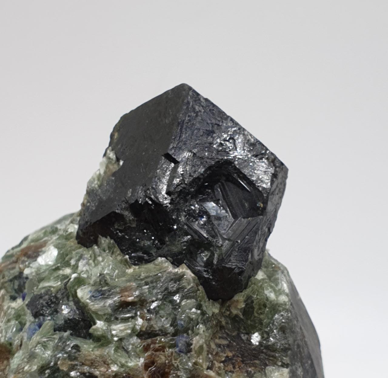 Rare Dravite Tourmaline On Matrix With Detailed Sapphire Crystals