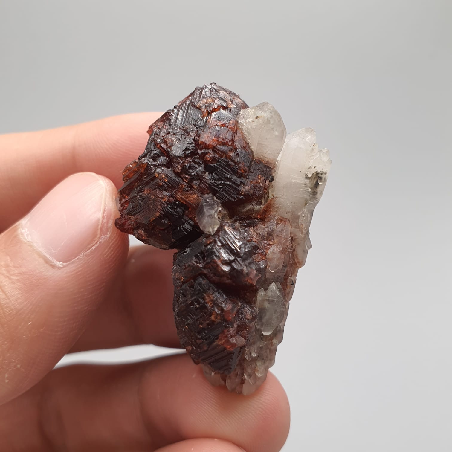 Red Spessartine Garnet Crystals On Quartz