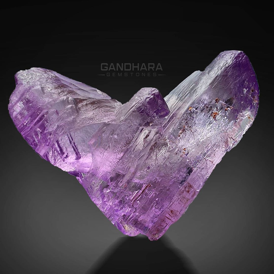 Purple crystal on a dark background with Gandhara Fine Minerals branding.