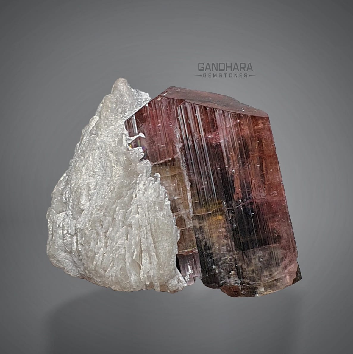 26 Grams Rubellite Pink Tourmaline Crystal with Cleavelandite