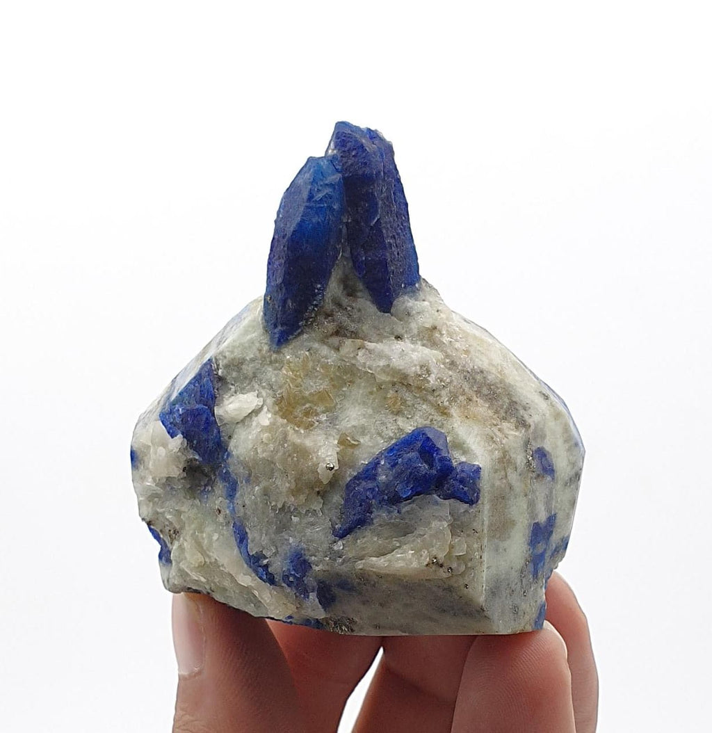 Sapphire Blue Attached Couple of Afghanite Crystals on Marble Matrix