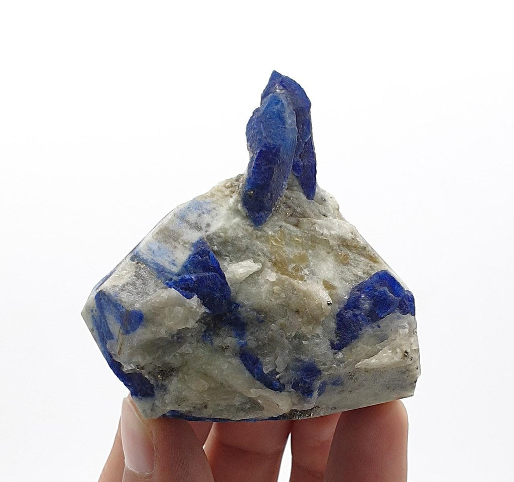 Sapphire Blue Attached Couple of Afghanite Crystals on Marble Matrix