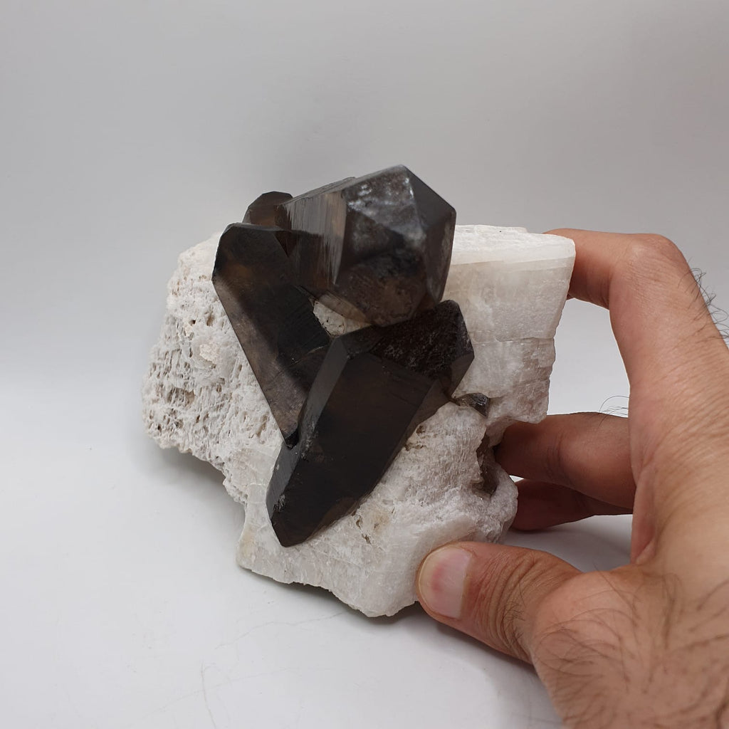 Saturated Smoky Quartz Crystals Shooting Out Of Albite Matrix