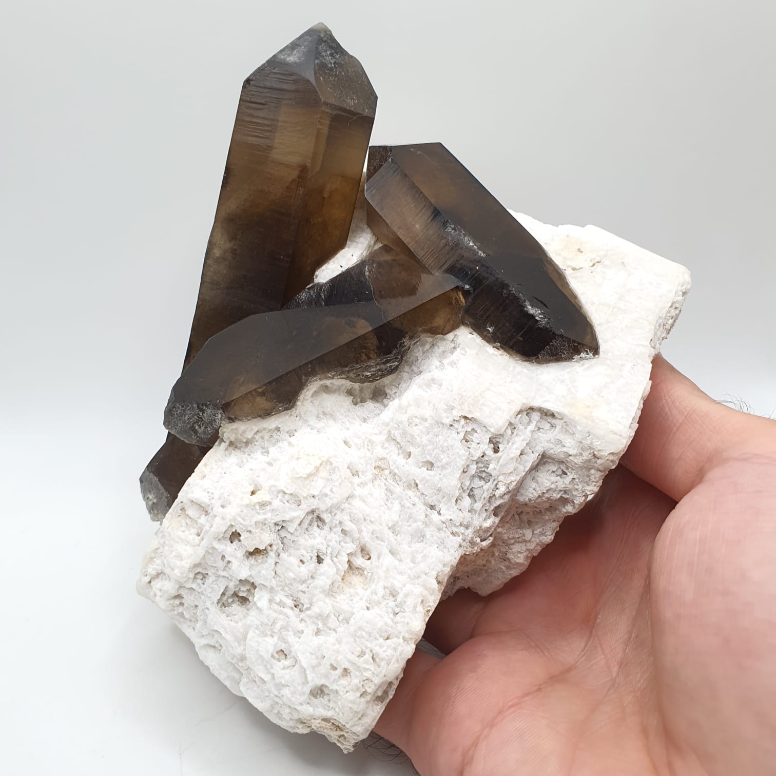Saturated Smoky Quartz Crystals Shooting Out Of Albite Matrix
