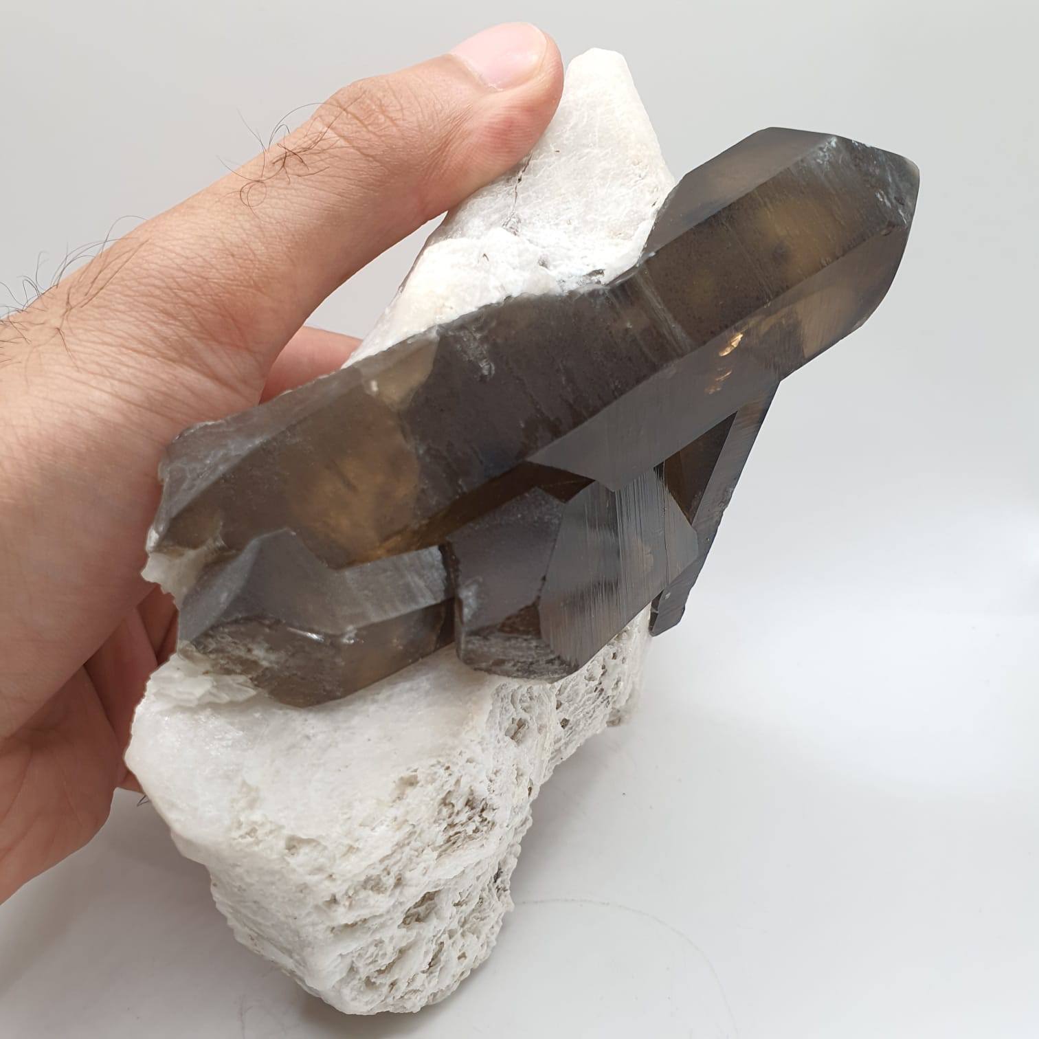 Saturated Smoky Quartz Crystals Shooting Out Of Albite Matrix