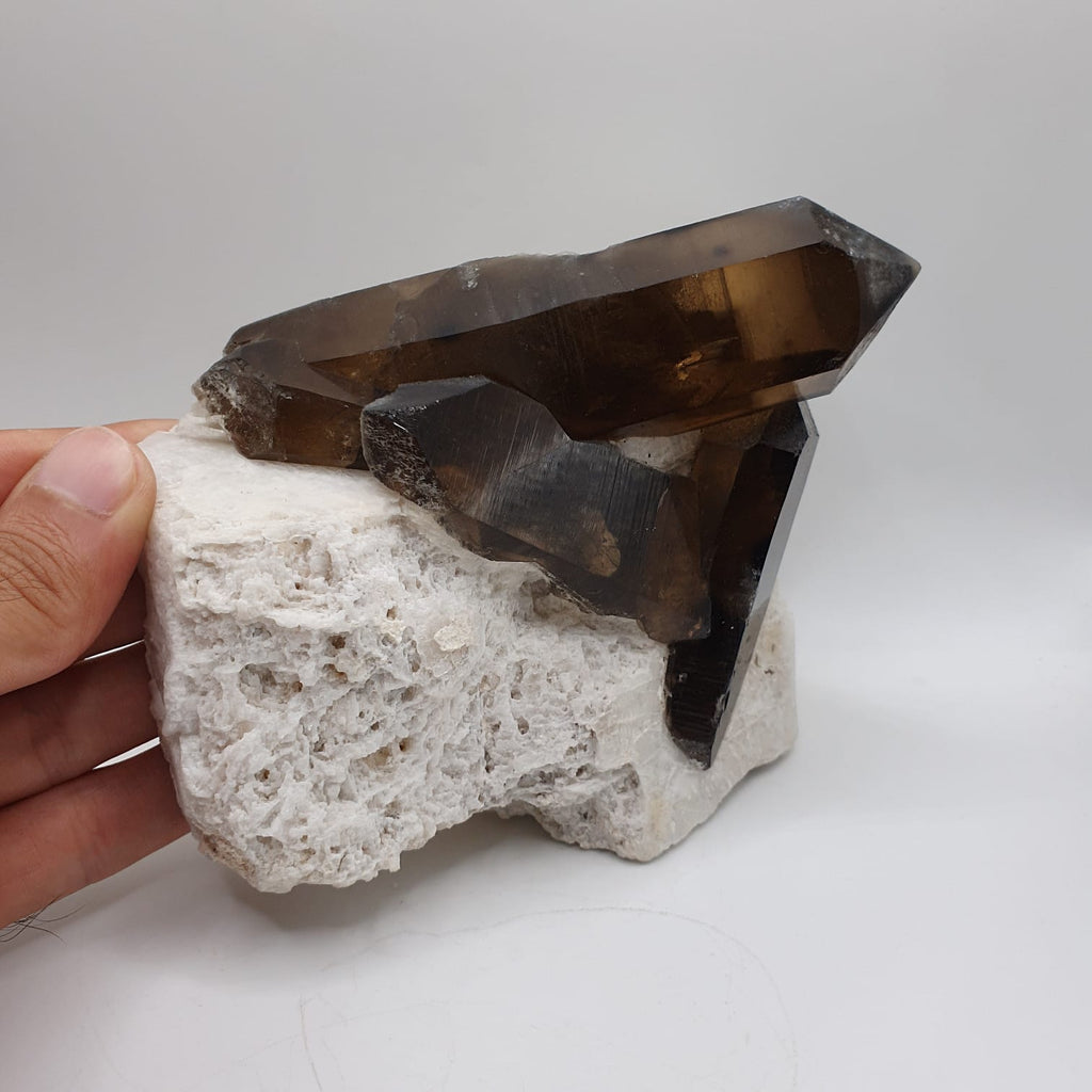 Saturated Smoky Quartz Crystals Shooting Out Of Albite Matrix