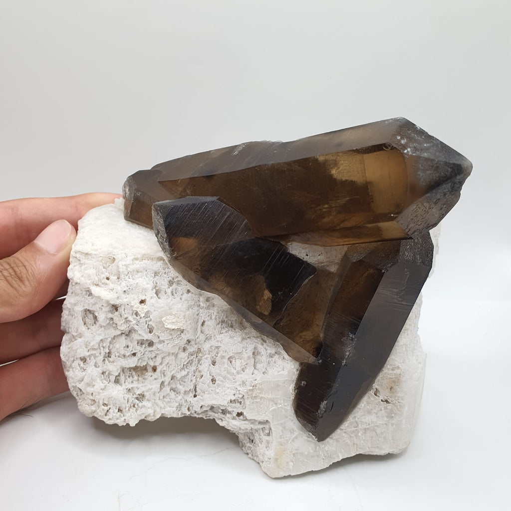 Saturated Smoky Quartz Crystals Shooting Out Of Albite Matrix