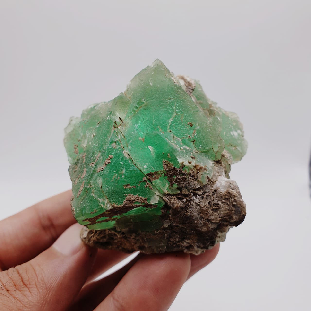 Saturated Forest Green Color Fluorite On Muscovite