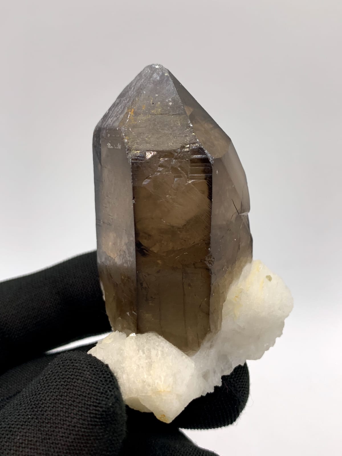 Saturday Color Smoky Quartz On White Albite