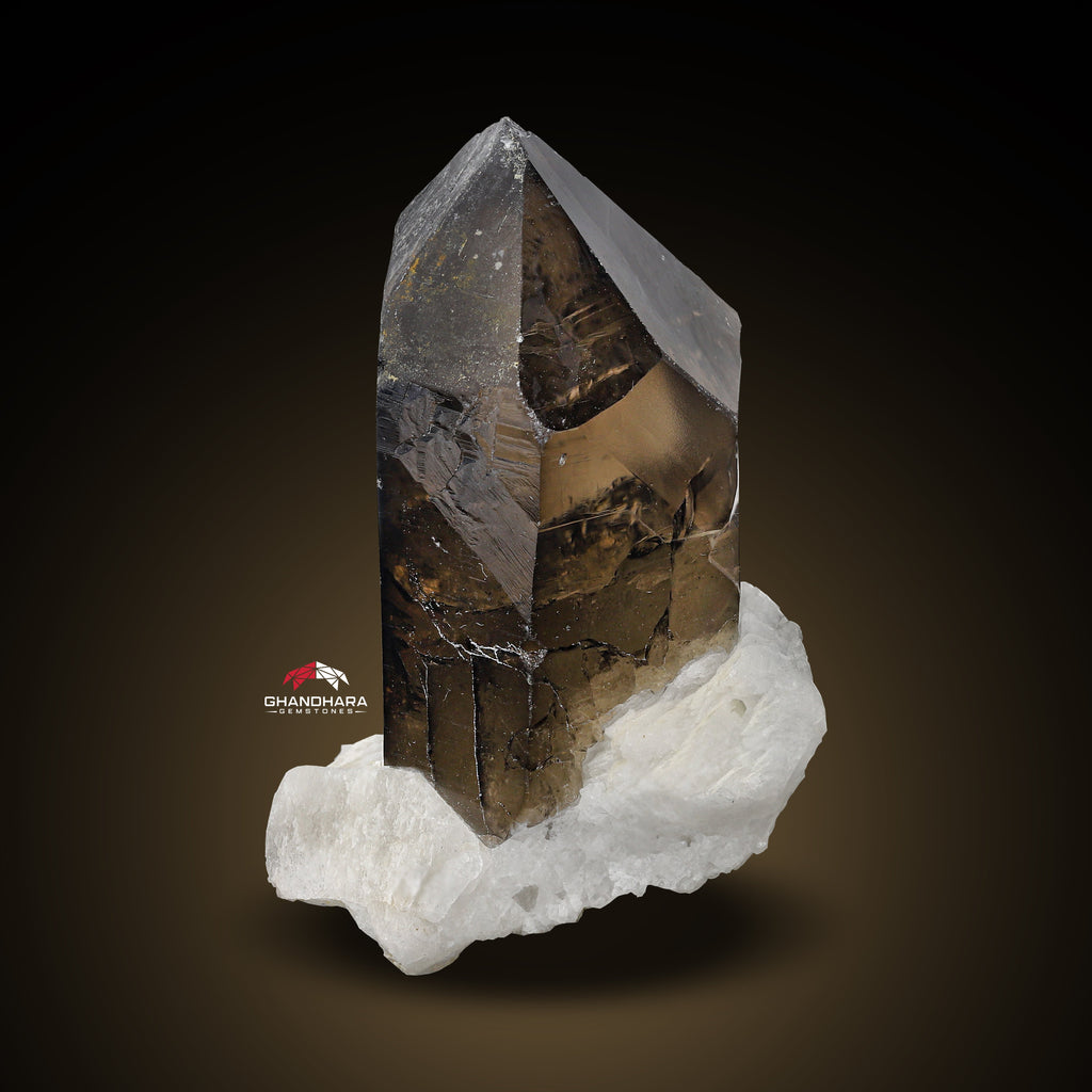 Saturday Color Smoky Quartz On White Albite