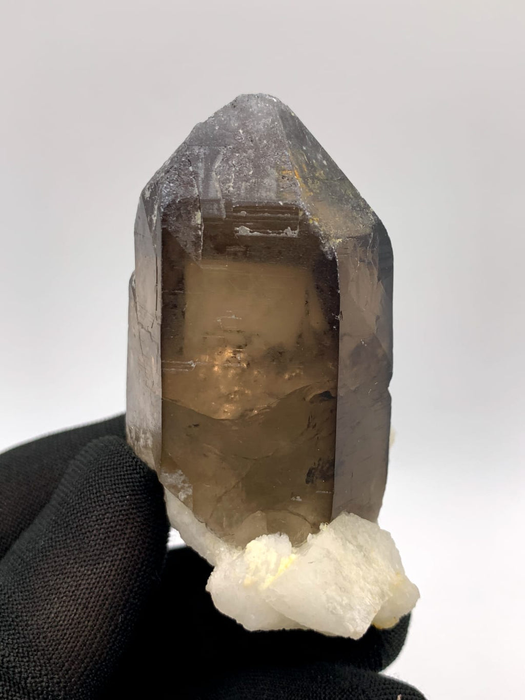 Saturday Color Smoky Quartz On White Albite